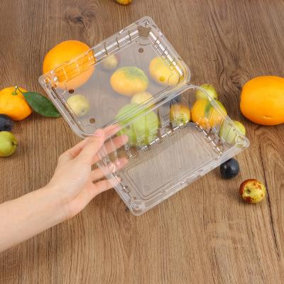 China Recyclable Clear Packaging Fruit Lid Food Tray Disposable Clamshell Plastic Container for sale