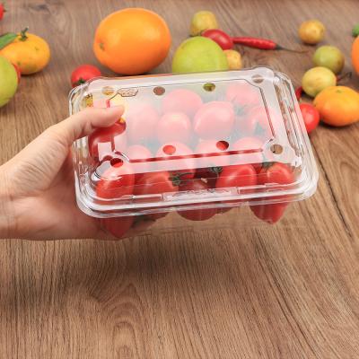 China Recyclable Best Price Plastic Salad Packaging Disposable Transparent Fruit Lettuce Clamshell Packaging Box for sale