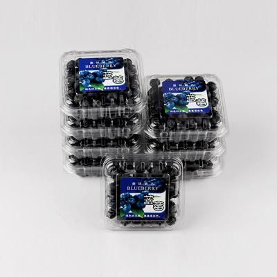 China Disposable Clamshell Disposable Box Packaging 125g Fresh Blueberry Fruit Container for sale