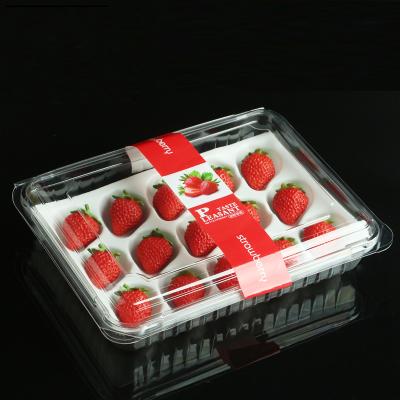 China Disposable Clear PET Fruit Strawberry Clamshell Clamshell Fruit Packaging Container Clear Plastic Container for sale