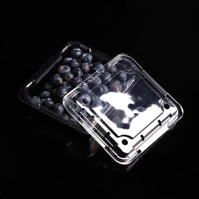 China Recyclable Clear Disposable Plastic Retangular Clamshell Blueberry Packaging Container for sale