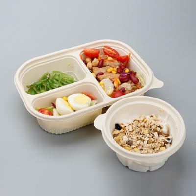 China Biodegradable Freshness Keeping Disposable Container Take Away Food Cornstarch Lunch Box for sale