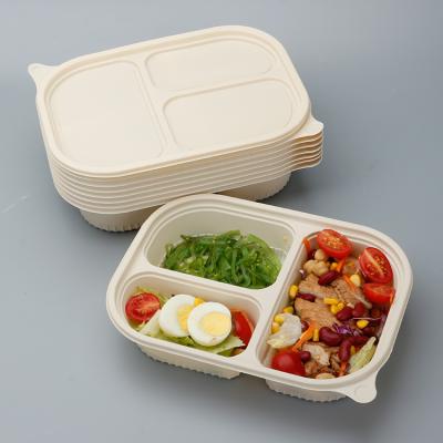 China Biodegradable Plastic Food Bento Lunch Box Disposable Freshness Keeping Cornstarch for sale