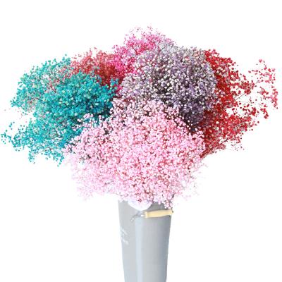 China Wedding Factory Wholesale One Grade Preserved Baby's Breath Gypsophila Flower Bouquet Natural Dry Flower For Wedding Decorative for sale