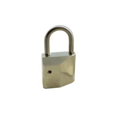 China For public building & Offices UNIT PLEC10 Commercial Brass Padlock Fitted With Euro Cylinder for sale