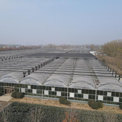 China Hot Selling PE Good Quality Customized Full Tunnel Plastic Sheet Winter Greenhouse Large Greenhouse For Tomato And Strawberry for sale