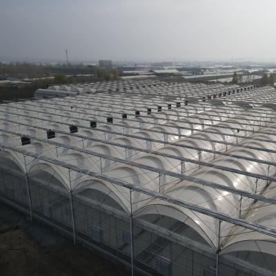 China PE Greenhouse Film Lock System Wiggle Wire /Zigzag Wire Lock Spring for sale