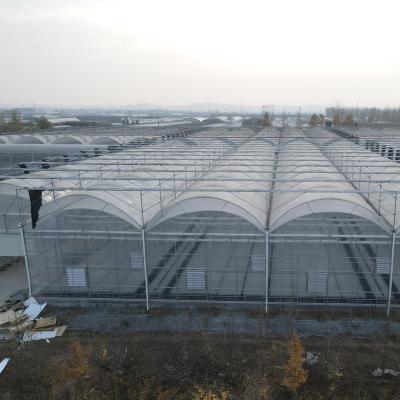 China Agricultural Commercial UV Resistant Clear PE Green House Plastic Sheet Reflective Cover 150 200 Micron With Great Price for sale