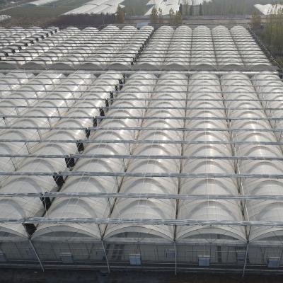 China PE Blackout Greenhouse Commercial Fully Automated Poly Agriculture Tunnel Light Deprivation Blackout Greenhouse for sale