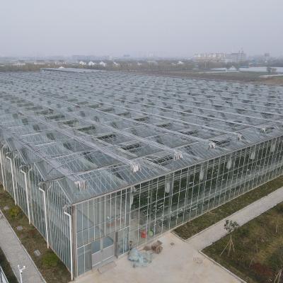 China Excellent PE impact resistance twinwall polycarbonate sheet for greenhouse /sunroom greenhouse polycarbonate sheet for sale