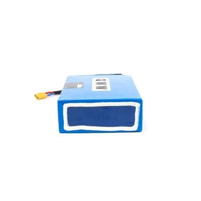 China Machine- Hot Selling Blue Lithium Ion Electric Bike Battery New Style PVC Battery Pack for sale