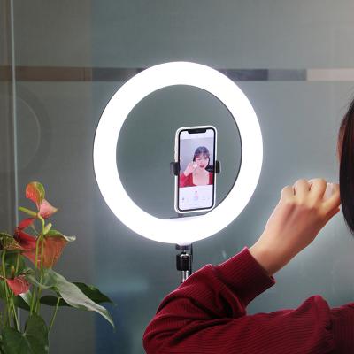 China Mini Dimmable Selfie Led Ring Light With 2.1m Tripod Stand 10 Inch Live Video Photographic Make Up Fill Lamp for sale