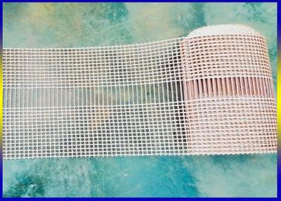 China  Coated Mesh Conveyor Belt Nomex Kevlar Plastic Material Edges Biding Customization for sale