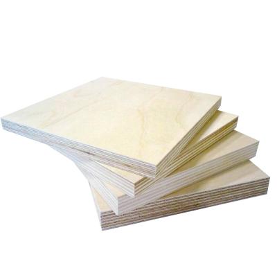 China Factory Direct Sale Modern Construction 3 4 4X8 All Commercial Birch Plywood for sale