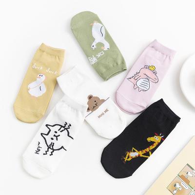 China Sporty female boat socks cute cartoon cat crocodile bear giraffe cotton spring and summer new female socks factory direct sales for sale