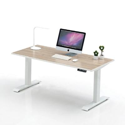 China Ekintop Modern Ergonomic Sit Sit Stand 2 Person Computer Workstation For 2 Person for sale