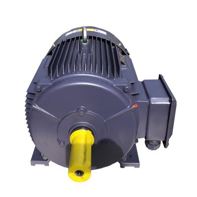 China Totally Enclosed Three Phase Asynchronous Industrial Constant Speed ​​Copper Wire Induction AC Motor for sale