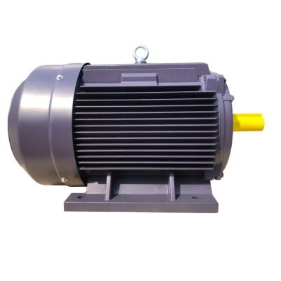 China High Efficiency Totally Enclosed Three Phase Induction Squirrel Cage Asynchronous AC Motor for sale