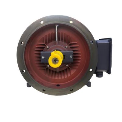 China hot sales Ie3 low voltage drip-proof asynchronous electric motor with IEC standard for sale