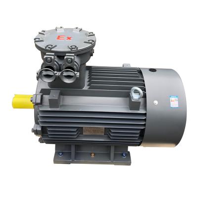 China Explosion Proof Three Phase Asynchronous Electric Induction AC Electric Motor for sale