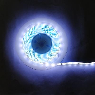 China LANDSCAPE CE FCC Color Flexible Landscape Lamps Lights Strip 12V RGB Long Led Strip Light for sale