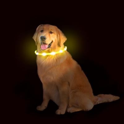 China Lights Wholesale Led Glowing Personalized Dog Collars Waterproof Dog Collar For Large And Small Pet for sale