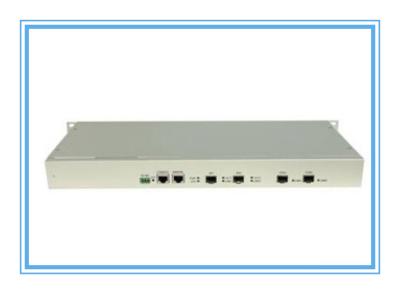 China Fiber Optical EPON OLT 2 GE PORTS 1 MANAGEMENT PORT For CISCO ODM for sale