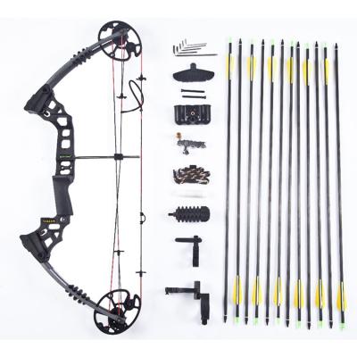 China Hunting 2021 new design china junxing m120 compound bow 70lbs archery set for archery and hunting for sale