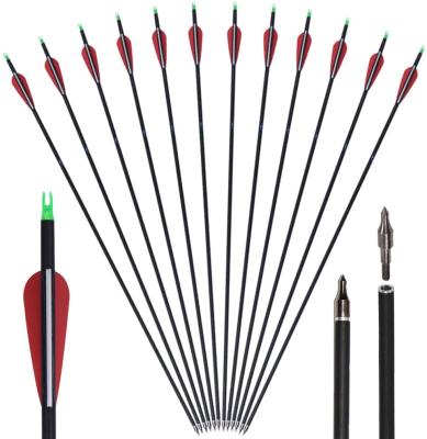 China 28/29 Inch Spine 340/400/500/600 High Percentage Carbon Arrows Carbon TIR Arrow For Archery Shooting And Hunting for sale