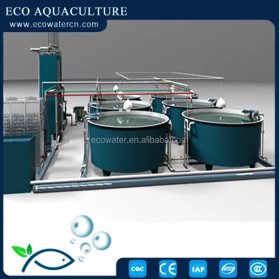 China Saltwater Freshwater Fish Cultures RAS Recycling Aquaculture Systems for sale