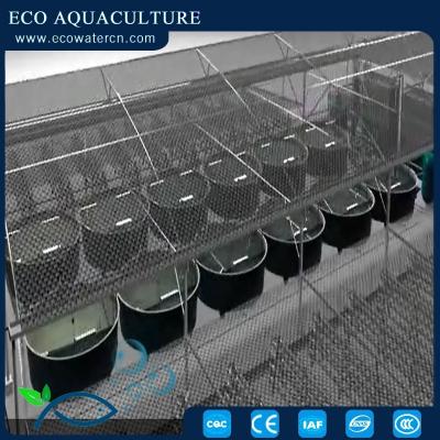 China Intensive aquaculture farm aquaculture farm purpose and saltwater freshwater fish farms application ras fishes for sale