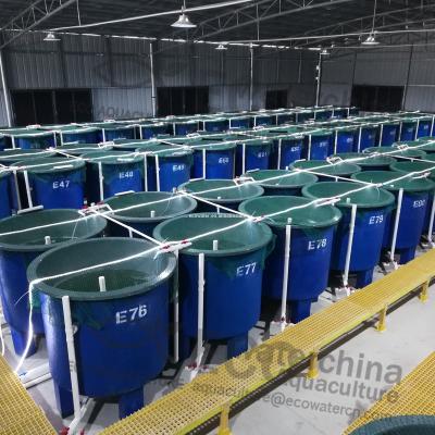 China Intensive aquaculture farm RAS system--Online water quality monitoring/drum filter/UV serilizer for sale