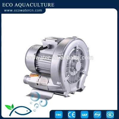 China Air dlivery for ECO farms/factories blowers/pumps-- Aquaculture system biofilter biofilter ras recycling aquarium for sale