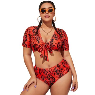 China OEM/ODM Mayo De Bain Plus Size Designer Breathable Bath Suites Star Bikini Tops Ribbed Leopard Print Waisted Two Piece Swimwear for sale