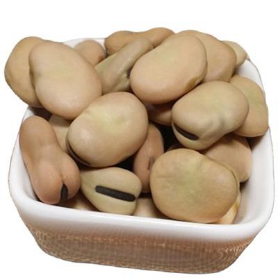 China Broad Bean Manufacturers Direct Sales Dry Natural Plantation Fresh Broad Beans for sale