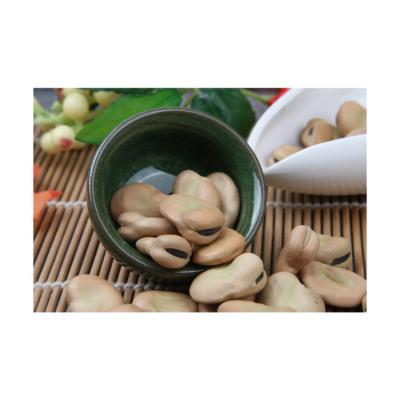 China New Product Hot Selling Dry Delicious Convenient Broad Beans / Broad Beans / Broad Beans for sale