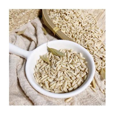 China Best price dry bare oat grain oats unpolluted bulk sale dried oats for sale