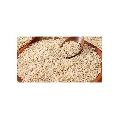 China Wholesale price dry high quality natural peeling oat grain shelling oats for making porridge for sale