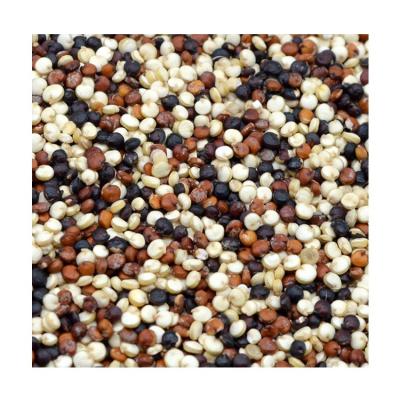 China Dry Tricolor Quinoa Mixed Exported Hebei China Best China Quinoa Wholesale Top Grade Woven Bag for sale