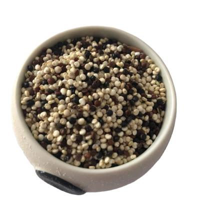 China Quinoa Processing Plant Dry Quinoa Wholesale Price Quinoa Classification Color for sale