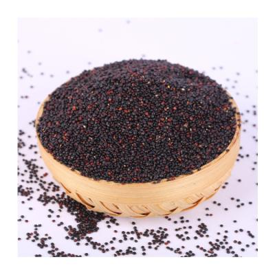 China Black Gluten Free Red Quinoa Quinoa Dry Sweet Taste And Beautiful Package For Whole Family for sale