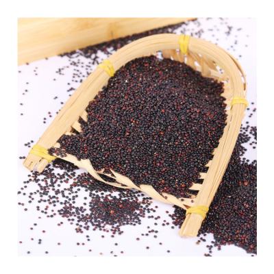 China High Protein Quality Premium Traditional Grain Health Nutrition Dry Organic Black Quinoa for sale