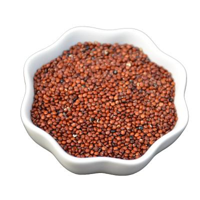 China Hot Selling High Quality Dry Quinoa Grains For Whole Family for sale