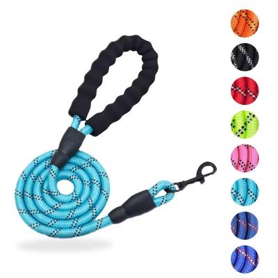 China Multi Colors Durable Good Quality Nylon Outdoor Night Reflection Dog Leash Training Walking Leash Durable for sale