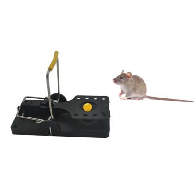 Chine Viable Hot Selling Disposable Instant Plastic Black Trap Rat Traps Mouse Trap à vendre