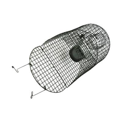 中国 Reusable Viable Live Catch Rat Mice Trap Plant Cages No Kills 販売のため