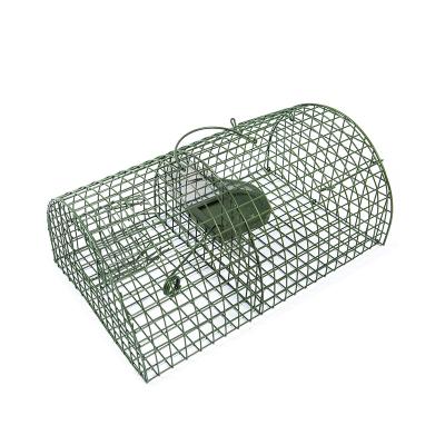 中国 Viable Reusable Metal Rat Catcher Cage Rat Cage Trap For Home Purpose 販売のため