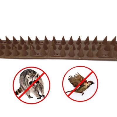 Chine High Effective Disposable Anti Birds Pigeon Garden Fence Nails For Outdoor à vendre