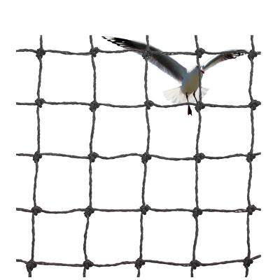 China Sustainable Heavy Duty Bird Netting Anti Bird Netting For Farm Building Garden en venta