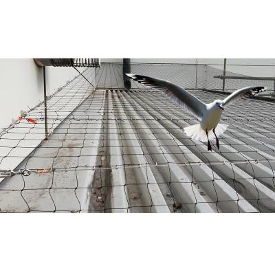 China HDPE Anti Bird Viable Trap Net UV Stabilized Anti Bird Netting for sale